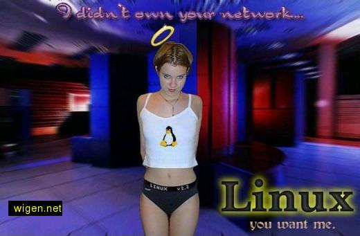 linux11.jpg