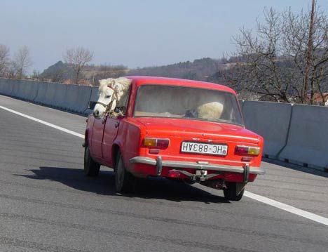 Funny picture of the day