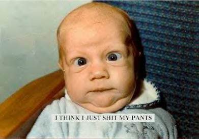 Funny picture of the day