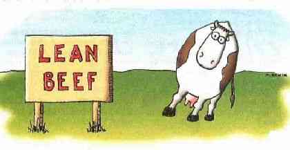 Funny picture of the day