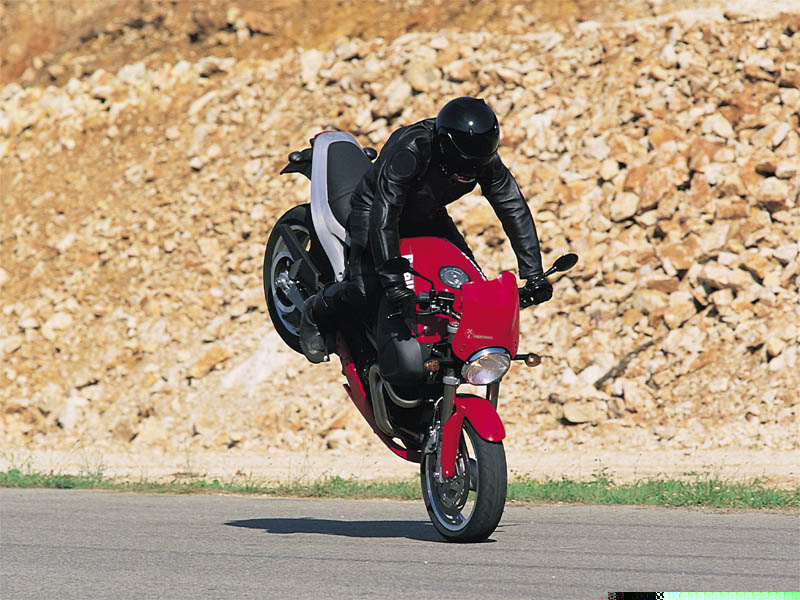 Funny picture of the day