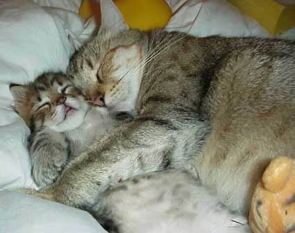 Funny picture of the day