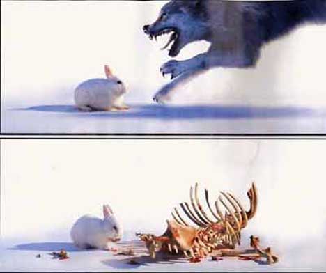 Funny picture of the day