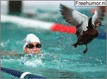Funny picture of the day