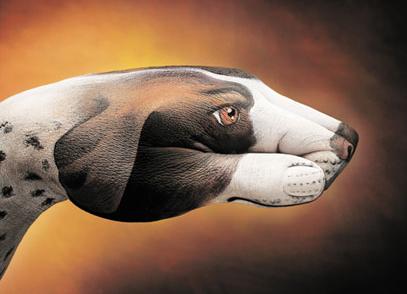 Funny picture of the day