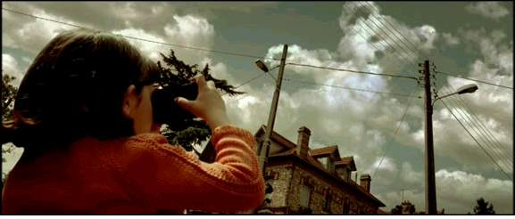 Funny picture of the day