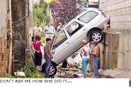 Funny picture of the day