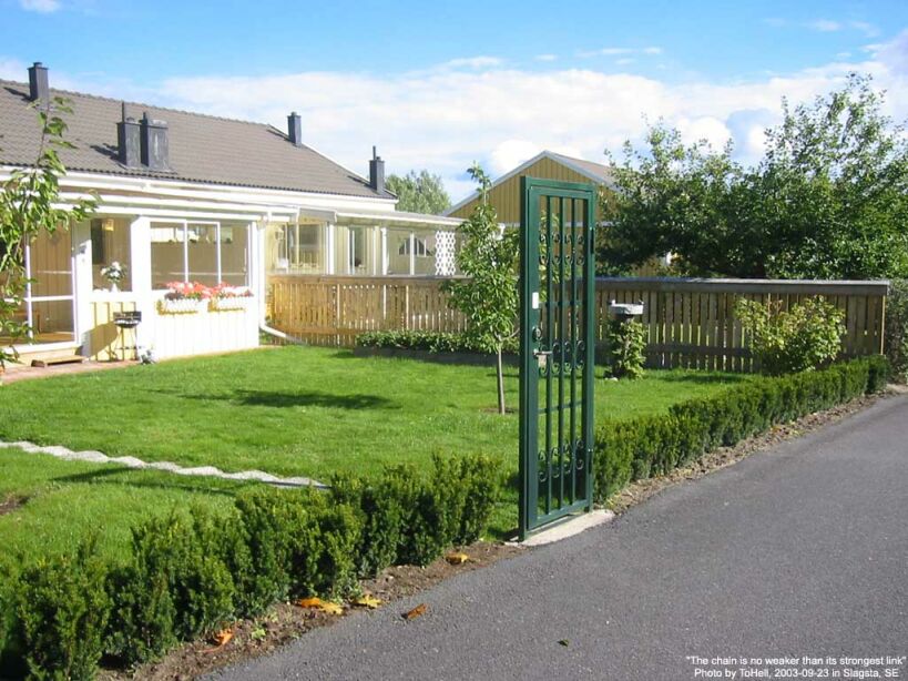 Funny picture of the day